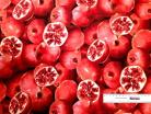 Pomegranate 1/4yd